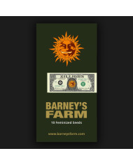 Semillas Zillions Barney's Farm | 32% THC | Híbrido Premium