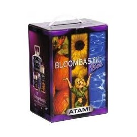 kit Bloombastic Box Terra