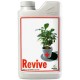 Revive