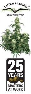 semillas de marihuana gratis
