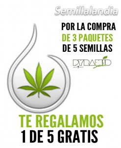 5 semillas gratis