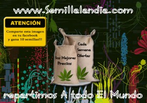 promocion-facebook