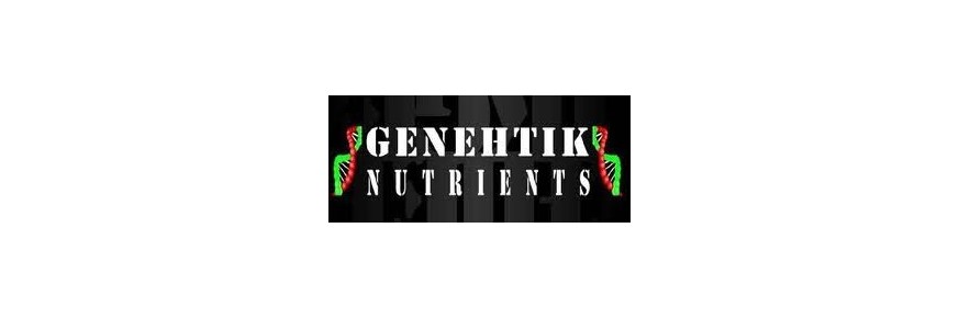 Genehtik