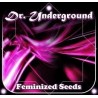 Semillas feminizadas Dr. Underground
