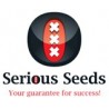 Semillas autoflorecientes Serious Seeds