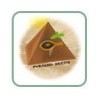 Semillas autoflorecientes Pyramid seeds