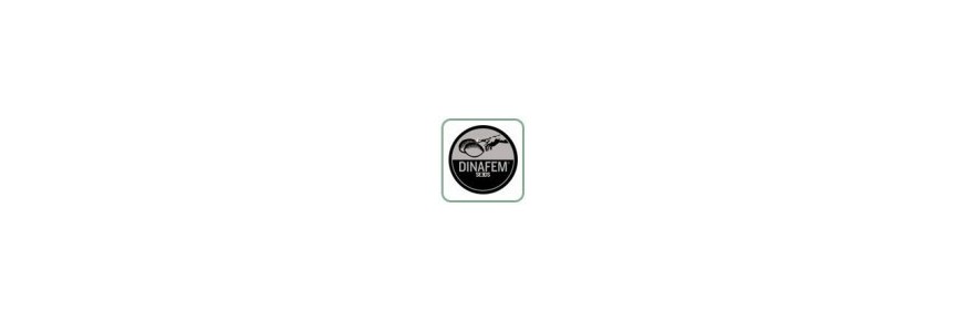 Dinafem Seeds