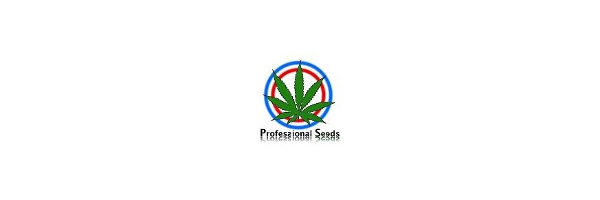 Professional Seeds