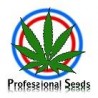 Semillas feminizadas Professional Seeds