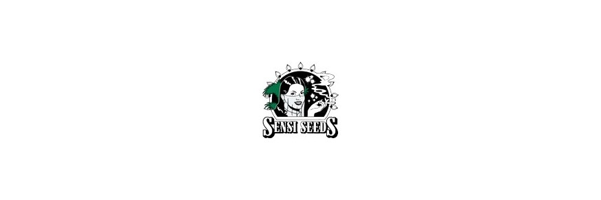 Sensi Seeds