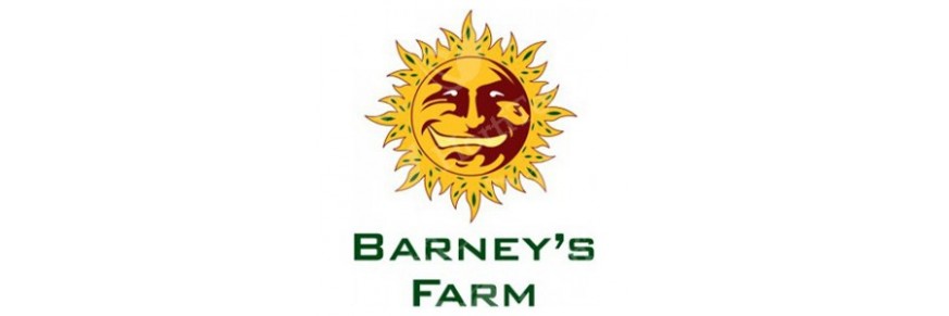 Barney's Farm