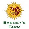 Semillas autoflorecientes Barney's Farm