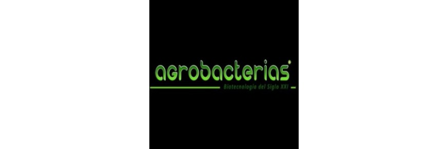 Agrobacterias