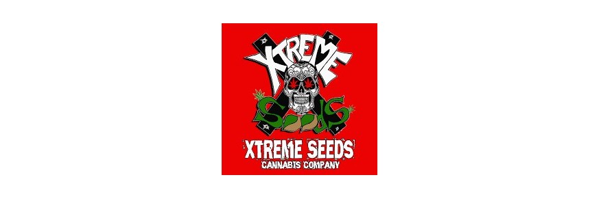 Xtreme Seeds
