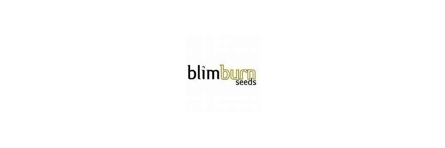 Blimburn Seeds