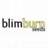 Semillas feminizadas Blimburn Seeds