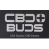 Semillas autoflorecientes CBD Plus Buds