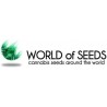 Semillas autoflorecientes World of Seeds