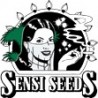 Semillas autoflorecientes Sensi Seeds
