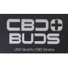CBD Plus Buds