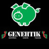 Semillas de marihuana del Banco Genehtik - Semillalandia
