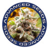 Semillas de marihuana del Banco Advanced Seeds - Semillalandia