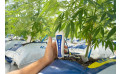Cómo subir el pH del agua de riego: mejores productos pH Up para cultivo de cannabis