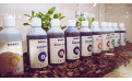 Bio Grow, Bio Bloom y Fish Mix de Biobizz: guía completa para un cultivo orgánico de cannabis