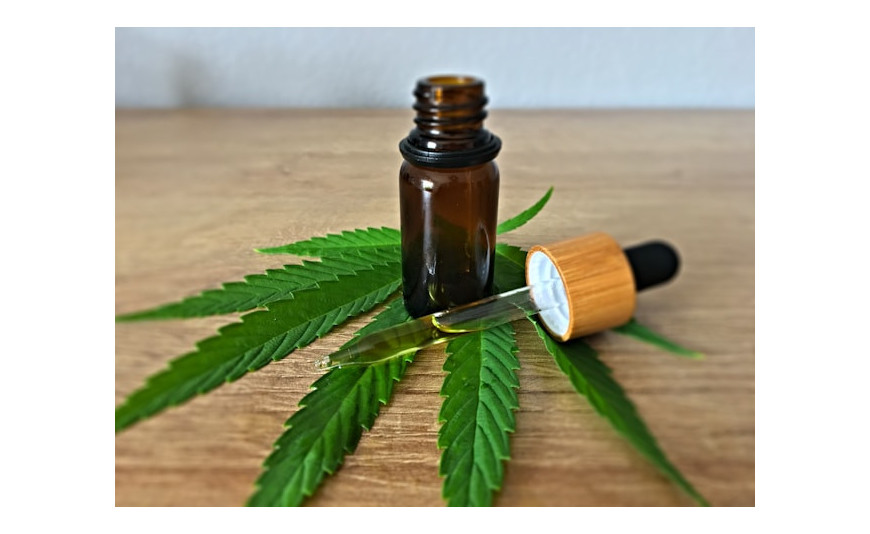 CBD en Lleida: dónde comprar flores CBD y por qué cada vez son más populares