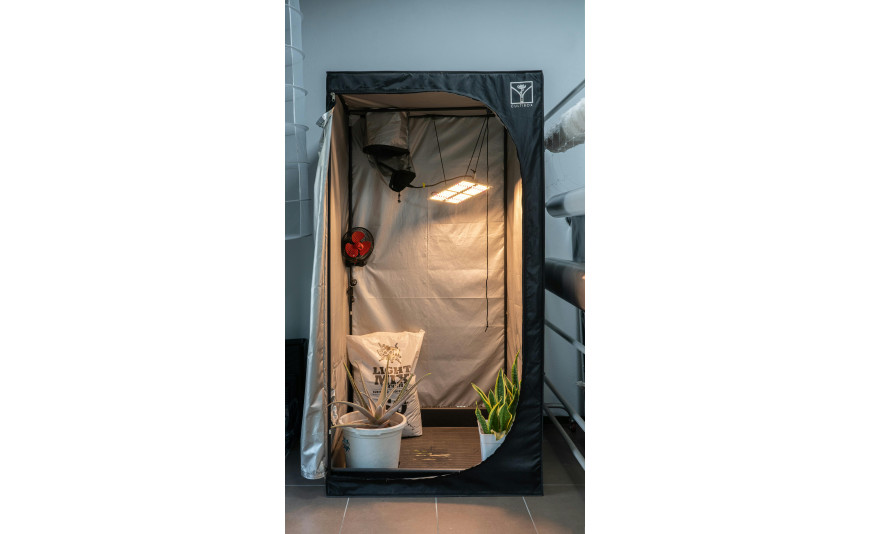 Kit de cultivo interior: cómo elegir el mejor armario completo para cultivar cannabis en casa